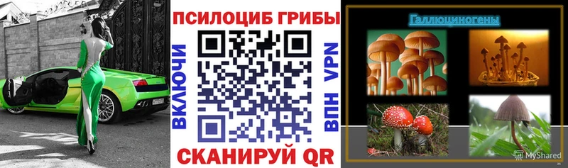 Псилоцибиновые грибы мухоморы  Купить где  Саяногорск 